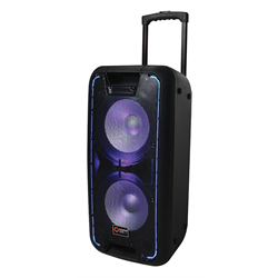 Quantum Audio Portable Speaker System (Dual 10" Woofers - 3500W Max)